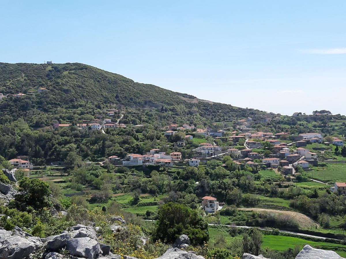 Villa Vagelis มอร์เตรี ภายนอก รูปภาพ